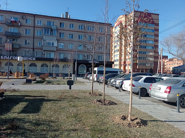 Новые крупномеры готовят к зиме в сквере «Бабочка»