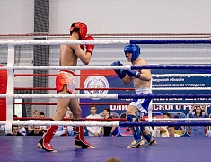 Фестиваль единоборств «Знамя Победы»