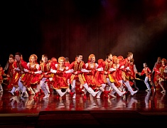 Более сорока одарённых детей получили премию мэра Благовещенска