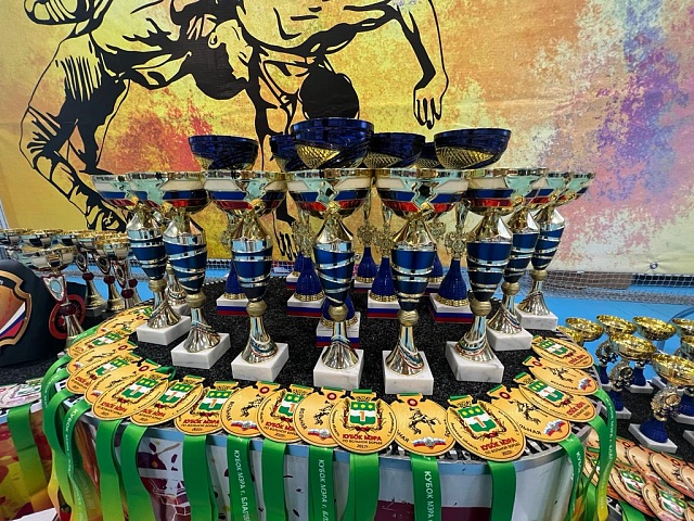 Почти половину золотых медалей собрали благовещенские борцы на соревнованиях за Кубок мэра