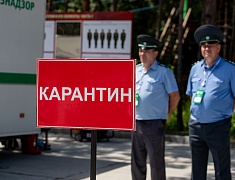 Командно-штабные учения по ликвидации условного очага особо опасного заболевания животных