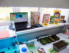 В районе Сплавной конторы открыли модельную библиотеку