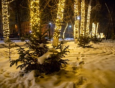 Благовещенск преображается к Новому году