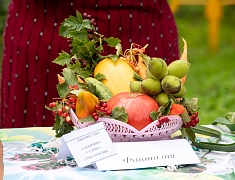 Мэр города Олег Имамеев поприветствовал старшее поколение на празднике в Горпарке
