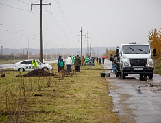 Аллею из сирени в 1,5 километра высадили в отдаленном районе Благовещенска