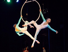 В Благовещенске за заслуги наградили более сотни педагогов