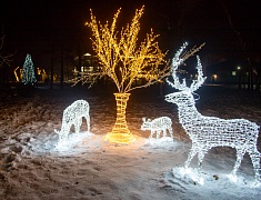 Благовещенск преображается к Новому году