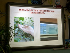 Школьники Благовещенска представили свои научные проекты на конференции «Старт в науку»