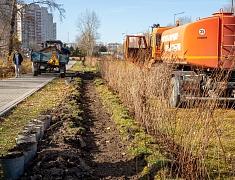 К общегородскому субботнику присоединились работники администрации Благовещенска