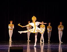 Благотворительный концерт в помощь детям состоялся в Благовещенске