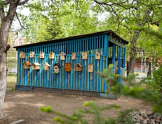 В Благовещенске представили лучшие практики работы с детьми-инвалидами и детьми с ОВЗ