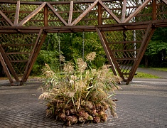  В Первомайском парке назвали лучшие работы в стиле лэнд-арт