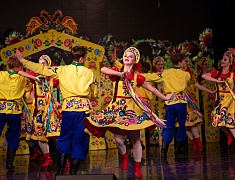 Ведущие коллективы Амурской области провели благотворительный концерт