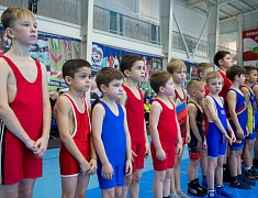 В Благовещенске прошли соревнования по вольной борьбе памяти Героя России Ивана Цевуна