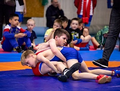 Открытое первенство Благовещенска по спортивной борьбе «VII Наследие ТРОИ»