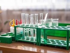 В Благовещенске прошел школьный агрослет - 2026