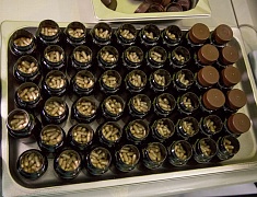 Мэр Олег Имамеев посетил производственный комплекс "Аметис"