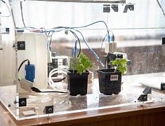 В Благовещенске прошел школьный агрослет - 2026