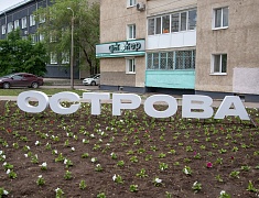 Фестиваль цветов «Город в цвете»