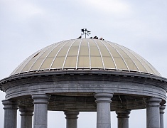 По Благовещенску прошел «Парад семей»