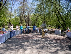 Международный день семьи