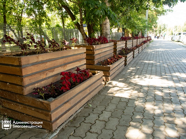 Прогноз погоды в Благовещенске на 18 августа: 