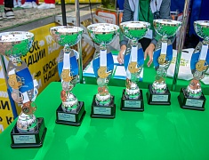 «Кросс нации»