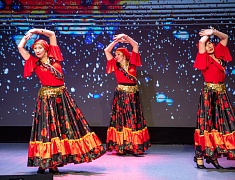 В Благовещенске выступил танцевальный коллектив «Татьяна»