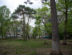 Мэр Благовещенска поручил завершить благоустройство сквера водников раньше срока