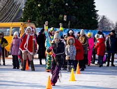 В Благовещенске подвели итоги конкурса снегозавров