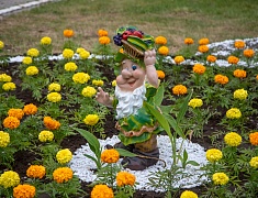 Фестиваль цветов «Город в цвете»