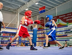 Чемпионат и первенство Амурской области по боксу стартовали в Благовещенске