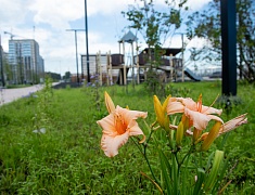 Мэр Благовещенска Олег Имамеев оценил готовность новой набережной Зеи к открытию