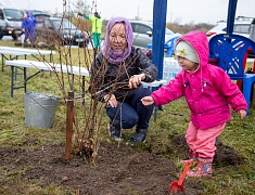 Аллею из сирени в 1,5 километра высадили в отдаленном районе Благовещенска