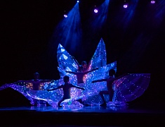 Благовещенск и Хэйхэ «обменялись» семьями