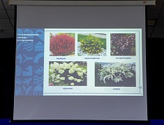 В администрации Благовещенска прошло расширенное совещание с городскими застройщиками