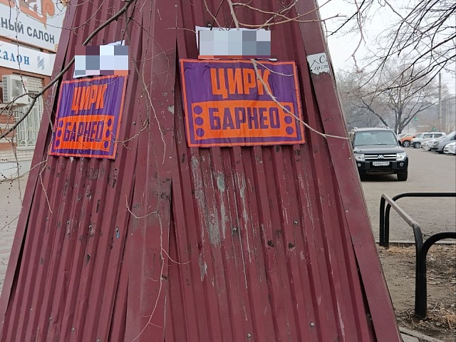 Цирк уехал, клоуны остались: цирк заплатит штраф за незаконную расклейку рекламы в Благовещенске