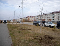 Сотрудники городской администрации во главе с мэром Олегом Имамеевым присоединились к традиционной акции «Город берегу»