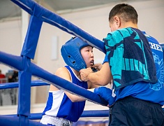 В спорткомплексе «Юность» стартовали соревнования по боксу среди юношей 13-14 лет