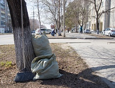 Общегородской субботник "Город берегу"