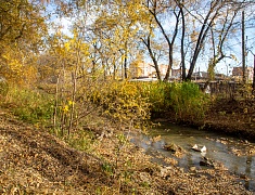 К общегородскому субботнику присоединились работники администрации Благовещенска