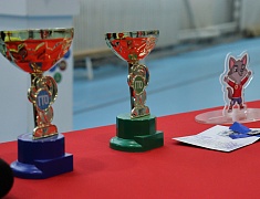 Фестиваль ГТО среди семейных команд 