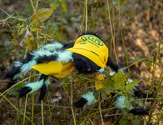 К акции «Город берегу» присоединилась молодежь Благовещенска