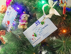 Сотрудники администрации Благовещенска станут новогодними волшебниками