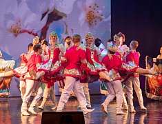 В День народного единства в Благовещенске прошел праздничный концерт