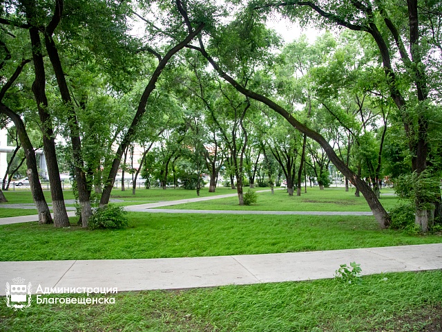 Прогноз погоды в Благовещенске на 19 августа: 