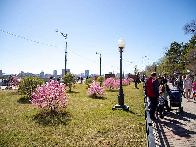 Одна из зеленых зон на 50 лет Октября, сквер в микрорайоне или в центре города: какая территория станет лидером рейтингового голосования в этом году?