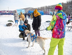 В Благовещенске прошла «Лыжня России»