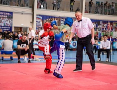 Чемпионат и первенство ДФО по кикбоксингу проходят в Благовещенске