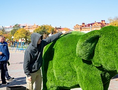 В Благовещенске появился новый арт-объект